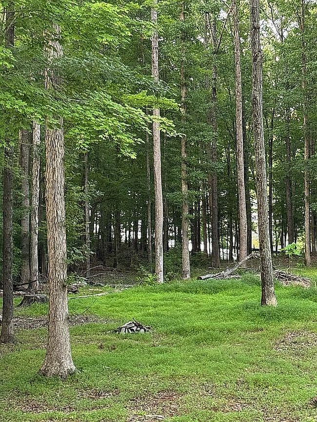 Photo of 373 Lewis Rd, Clarksville, VA