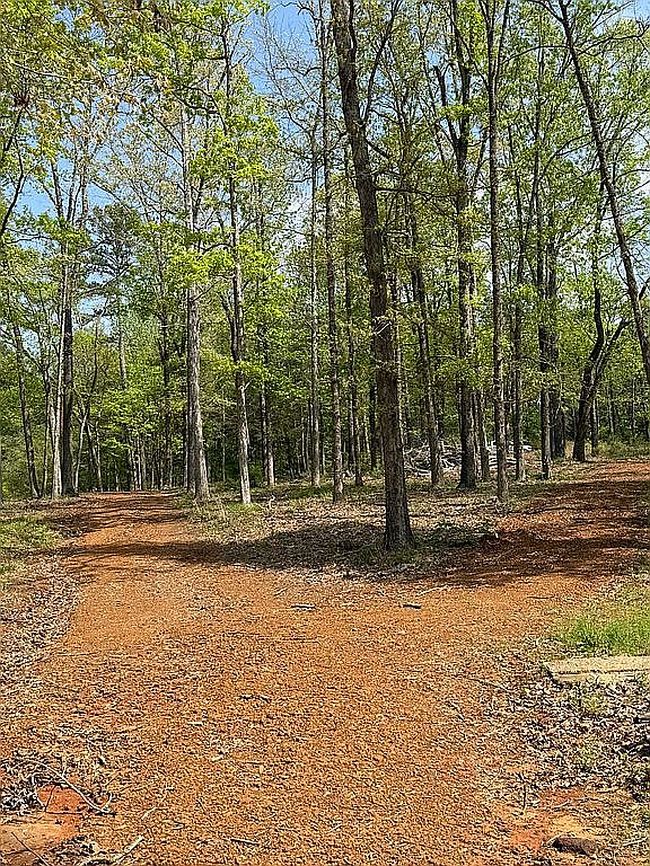 Preview of property located at 15844 County Road 4256 S Lot 38B