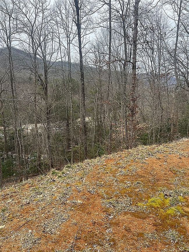 Image of 458 Clear Creek Rdg