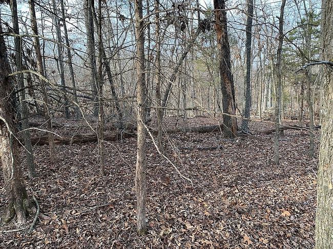 Image of 8119 Beaver Shores Rd