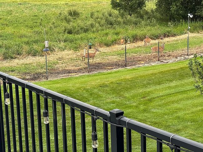 Photo of 9817 Thorton Dr, Johnston, IA