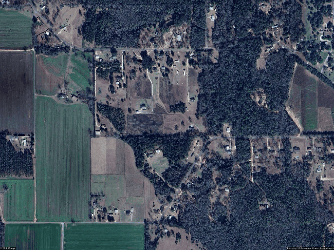 492 Bridlepath Ln, Flomaton, AL