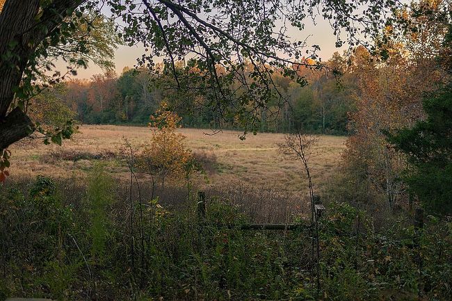 Image of 133 Wells Lee Rd