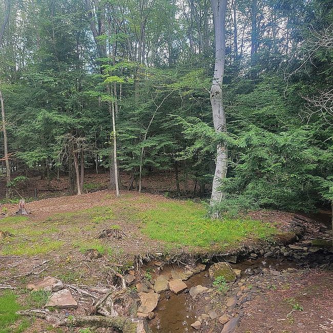 Photo of 225 S Peninsula Dr, Central City, PA