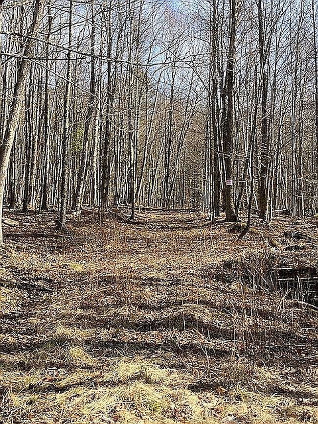 Image of 140 Roaser Rd