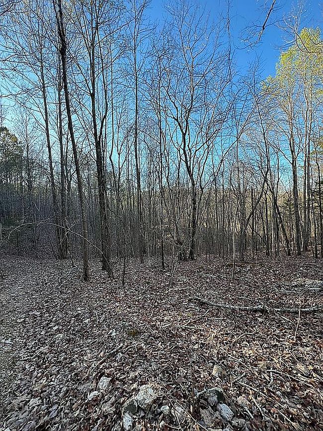 Image of 9608 County Road 31