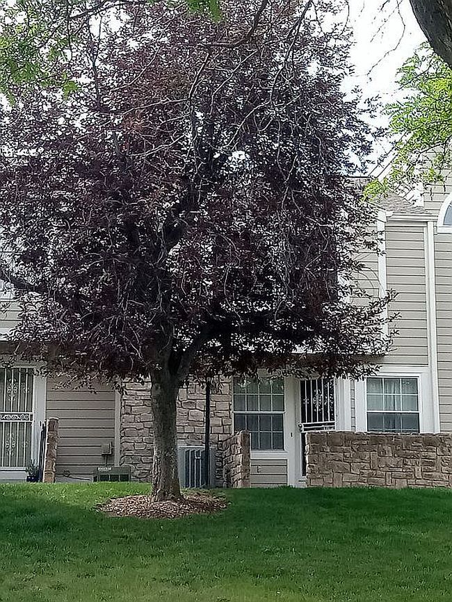 Image of 210 W Jamison Cir Unit 41