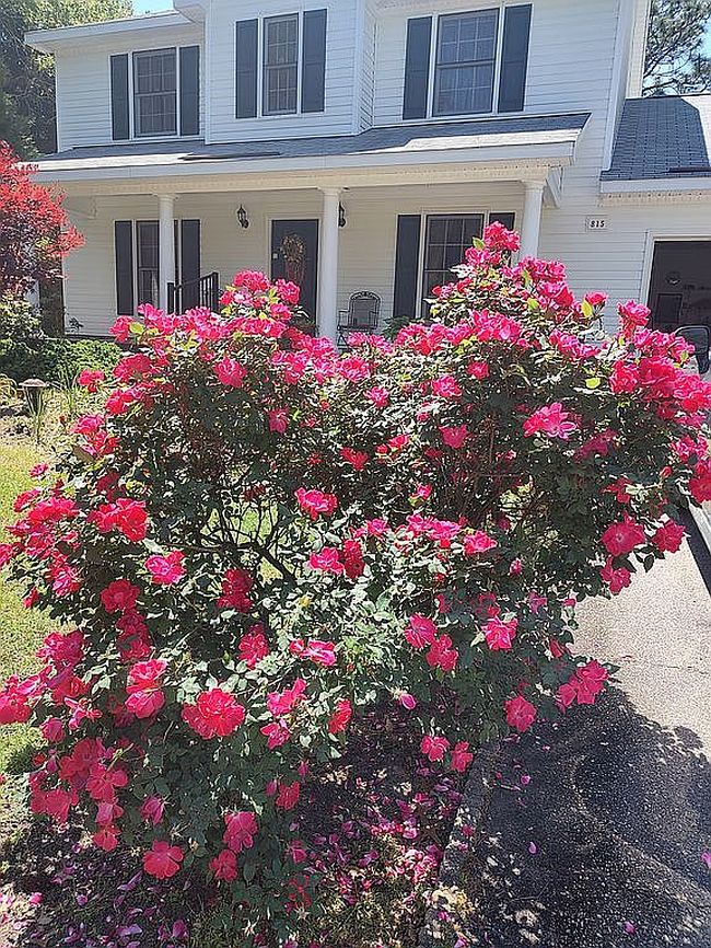 Image of 815 La Quinta Ln