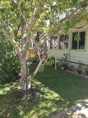 Image of 1742 W Harbor Dr