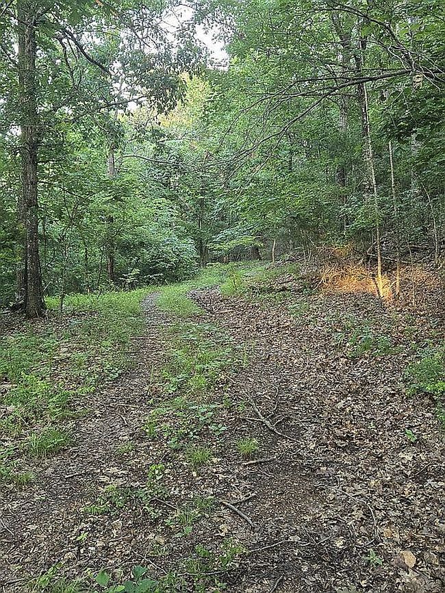 Photo of 2610 Rushing Ridge Rd, Harrison, AR