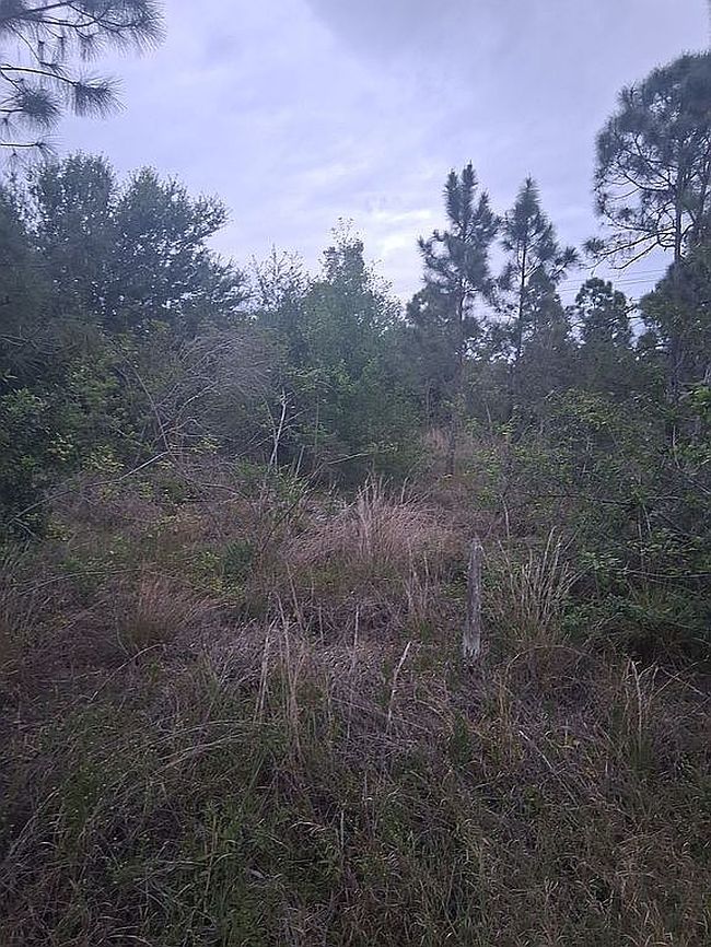 Photo of 10011 Saint Paul Rd, North Fort Myers, FL