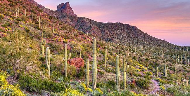 Image of 8989 E Escalante Rd #210