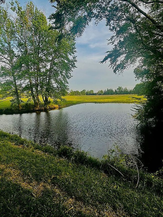 Image of 0 County Road 2403
