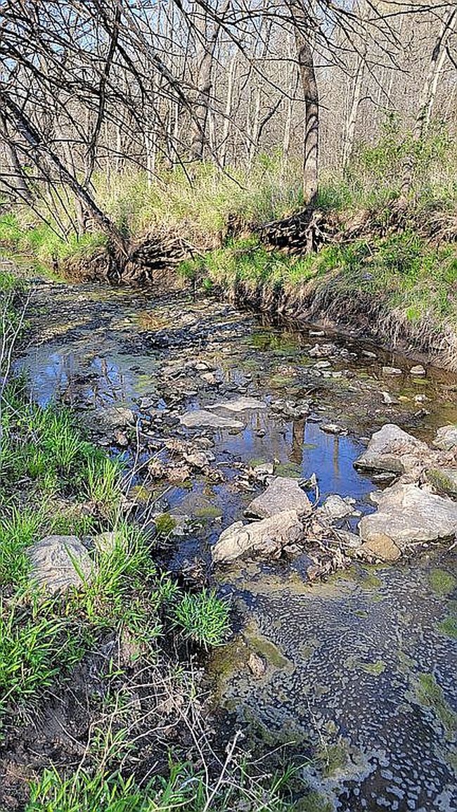 Image of 357 Ne P Hwy