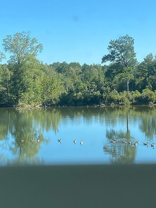 Photo of 14222 Highway 16, Franklinton, LA