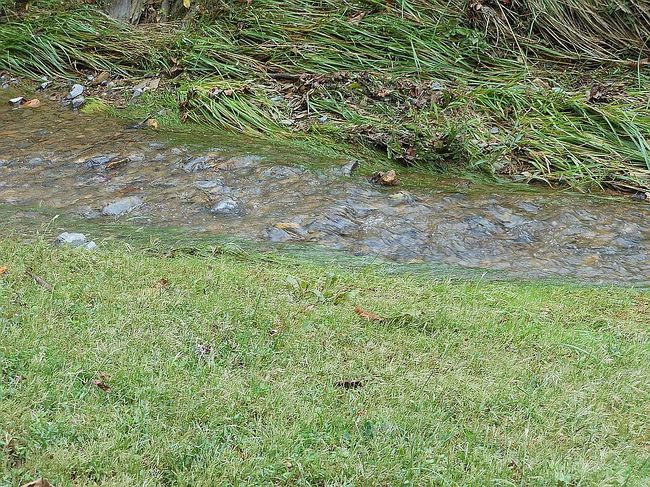 Photo of 2011 Little Valley Rd, Sevierville, TN