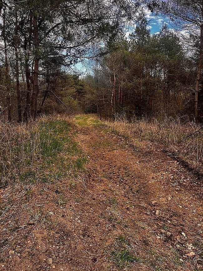 Image of 0 Clare Ln