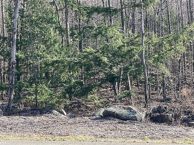 Image of 140 Roaser Rd