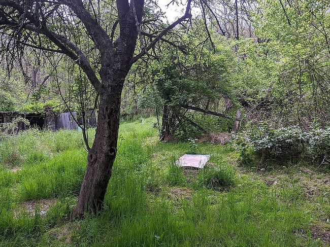 Photo of 1788 Foxes Hollow Rd, Romney, WV