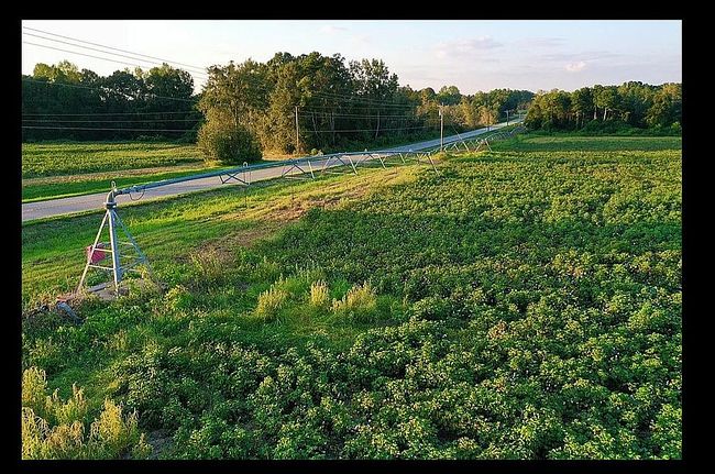 Image of 4296 Adel Hwy Lot 1