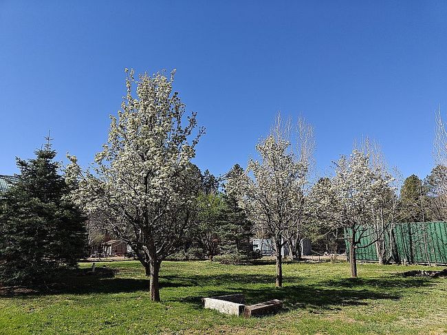 Image of 8552 W Deer Dr