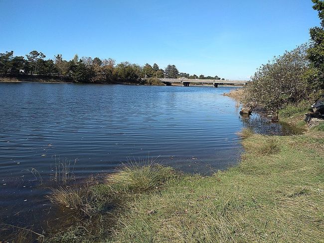Image of 914 N Holladay Dr