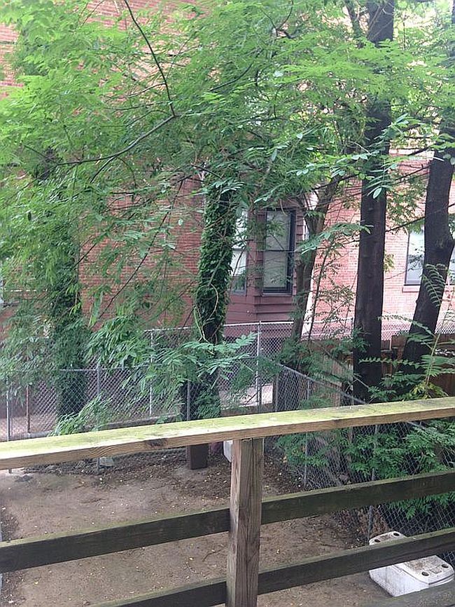 Image of 32 E Preston St