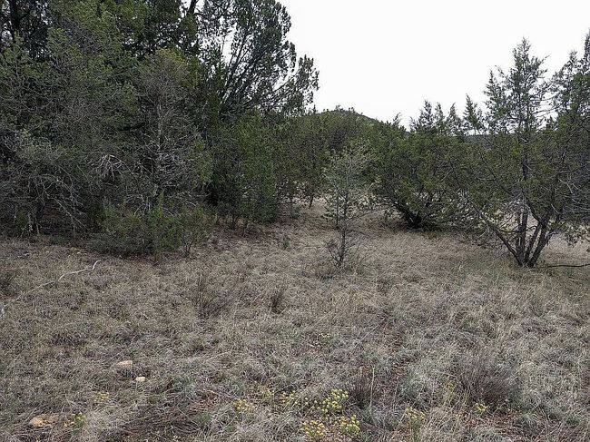 Image of 106 Agua Fria Dr
