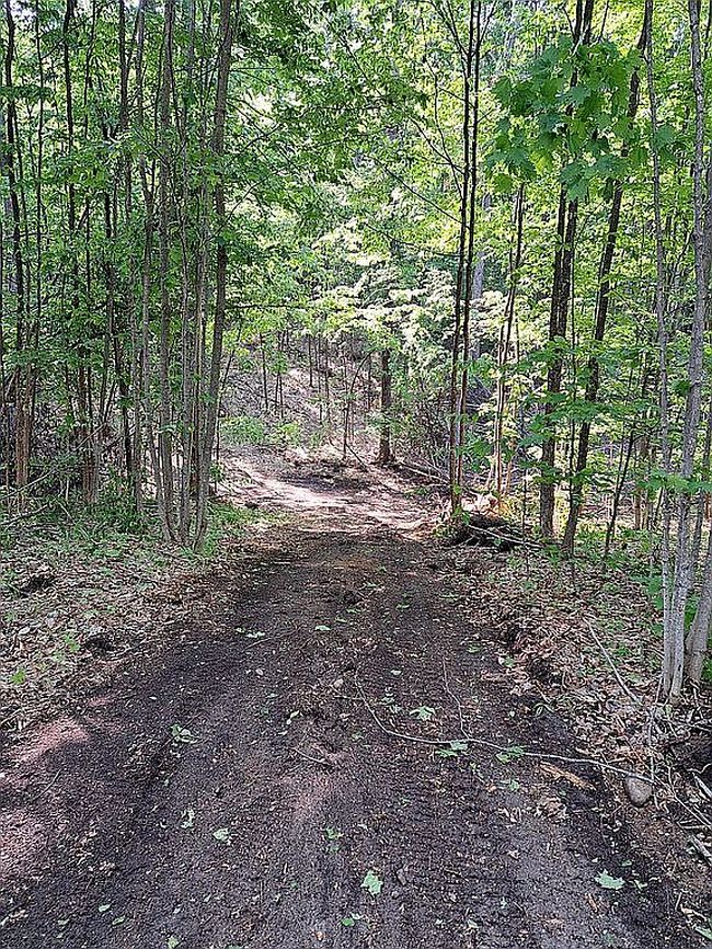 Photo of 123 W Simpson Rd, Mancelona, MI