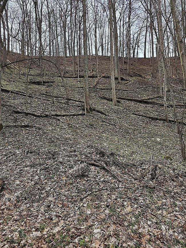 Image of 824 Crystal Lake Rd