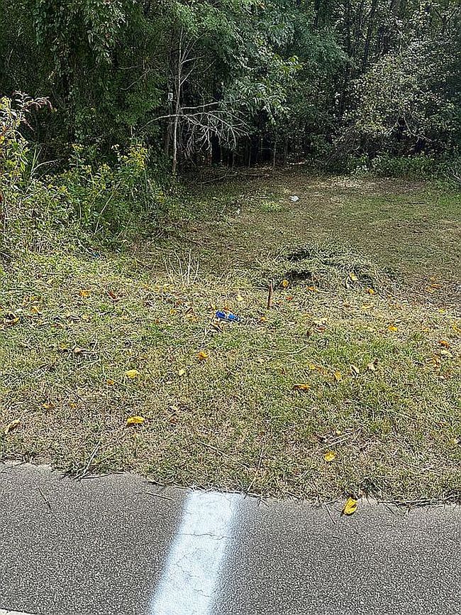 Image of Highway 205 Hoke Rd