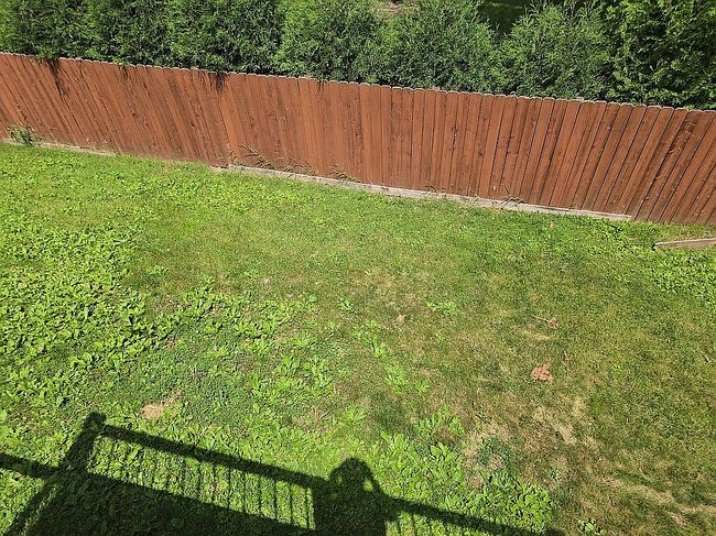 Photo of 1317 Elm St, Farmington, MN