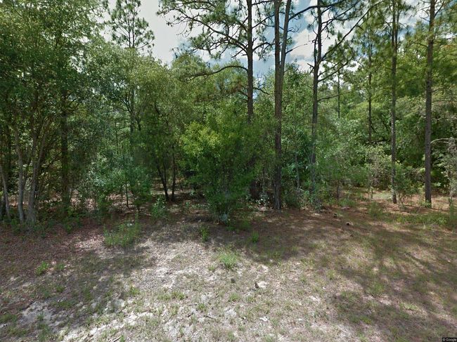 Photo of 10802 N Haitian Dr, Citrus Springs, FL