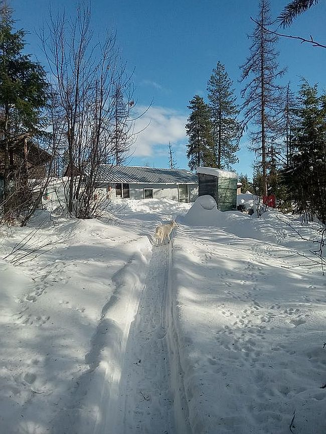 Image of 160 Jacknife Lookout Rd