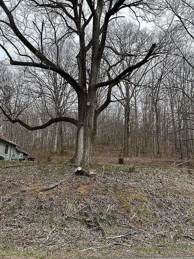 Photo of 6021 Panther Creek Rd, Talbott, TN