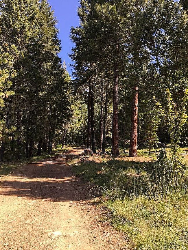 Image of 5539 Fs Rd #4N09
