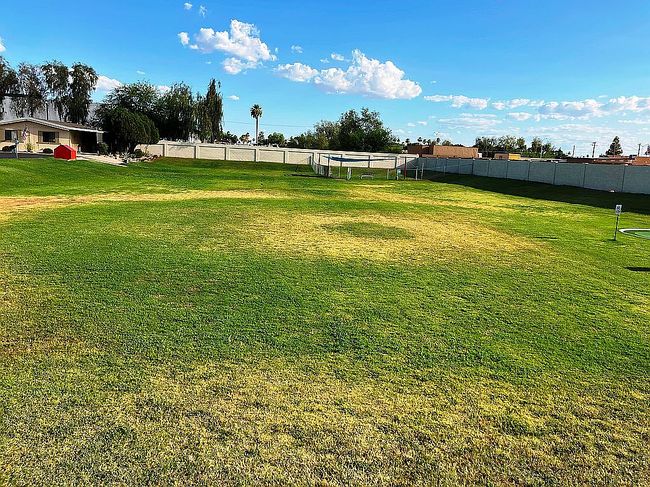 Photo of 3330 E Main St Lot 515, Mesa, AZ