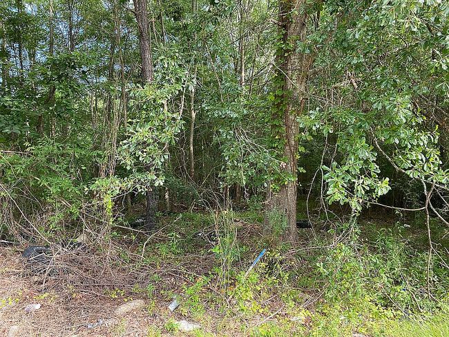 Image of 104 Percy Dr