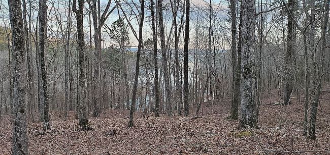 Image of 126 Peanut Ln