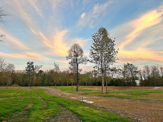Photo of 1013 County Line Rd, Little Rock, AR