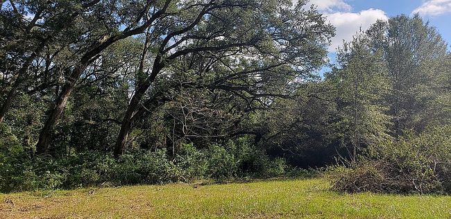 Image of 12910 County Road 49