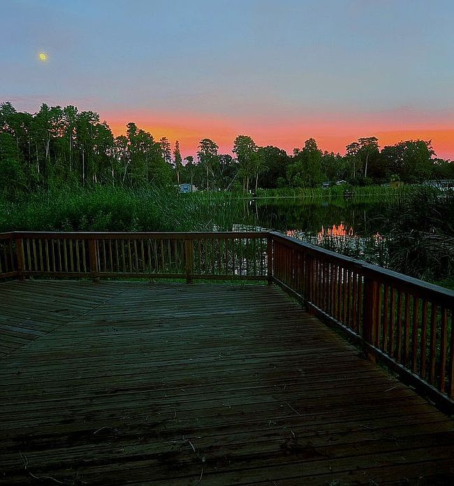 Photo of 21400 Lake Sharon Dr, Land O Lakes, FL