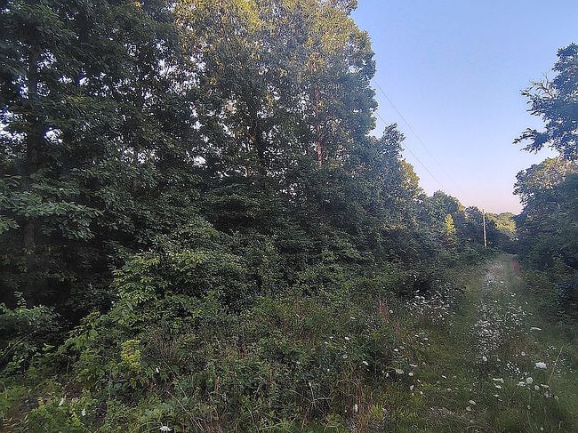 Photo of 1389 Peaceful Ln, Yellville, AR