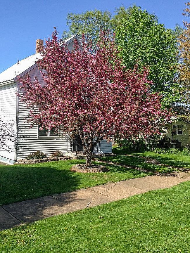 Image of 908 Erie Ave