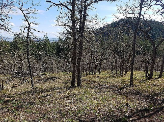 Additional photo 1 of property located at 33 Pine Ridge Rd