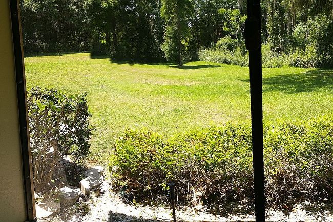 Image of 1704 Lake Cypress Dr