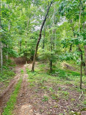 Image of 2620 Deer Lodge Hwy