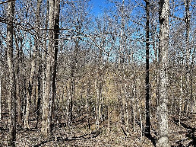 Image of 3478 Yates Rd