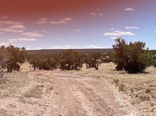 Photo of 55 Woodview Dr, Thoreau, NM