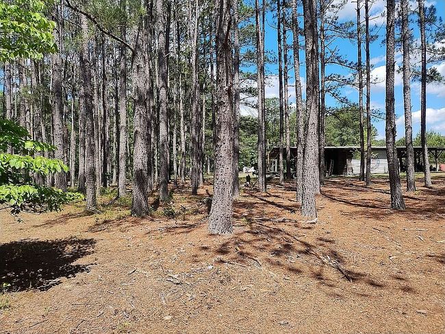 Image of 2718 Old Stagecoach Rd